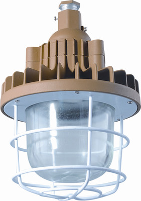 防爆應(yīng)急照明燈