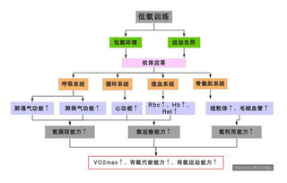 智能化低氧技術(shù)發(fā)展及其應(yīng)用